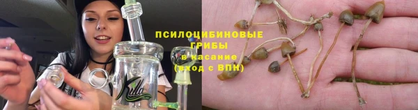 амф Беломорск