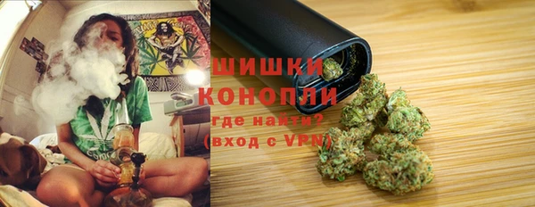 индика Богданович