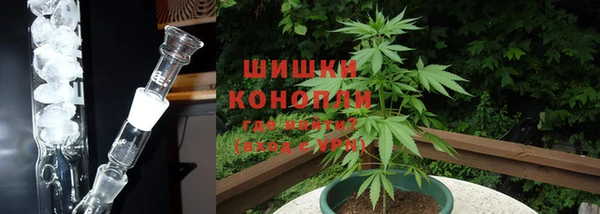 амф Беломорск