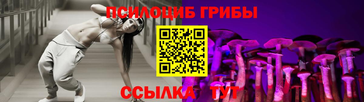 Псилоцибиновые грибы MAGIC MUSHROOMS  Вход с VPN  где купить наркотик  Минеральные Воды 