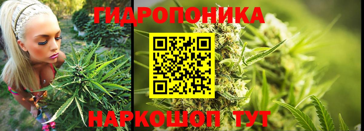 Конопля Bruce Banner Минеральные Воды